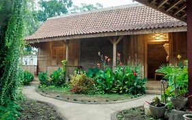 Pinarak Homestay